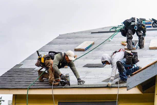 Professional Roofing technician working in Mount Holly, VT